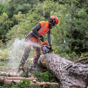 Husqvarna Profi Benzin Motorsäge 545 Mark II