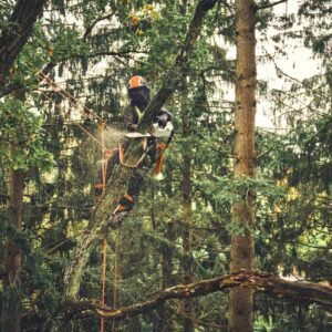 STIHL Akku-Baumpflegesäge MSA 220 T, 3/8", PS3 Pro, Schienenlänge 30 cm