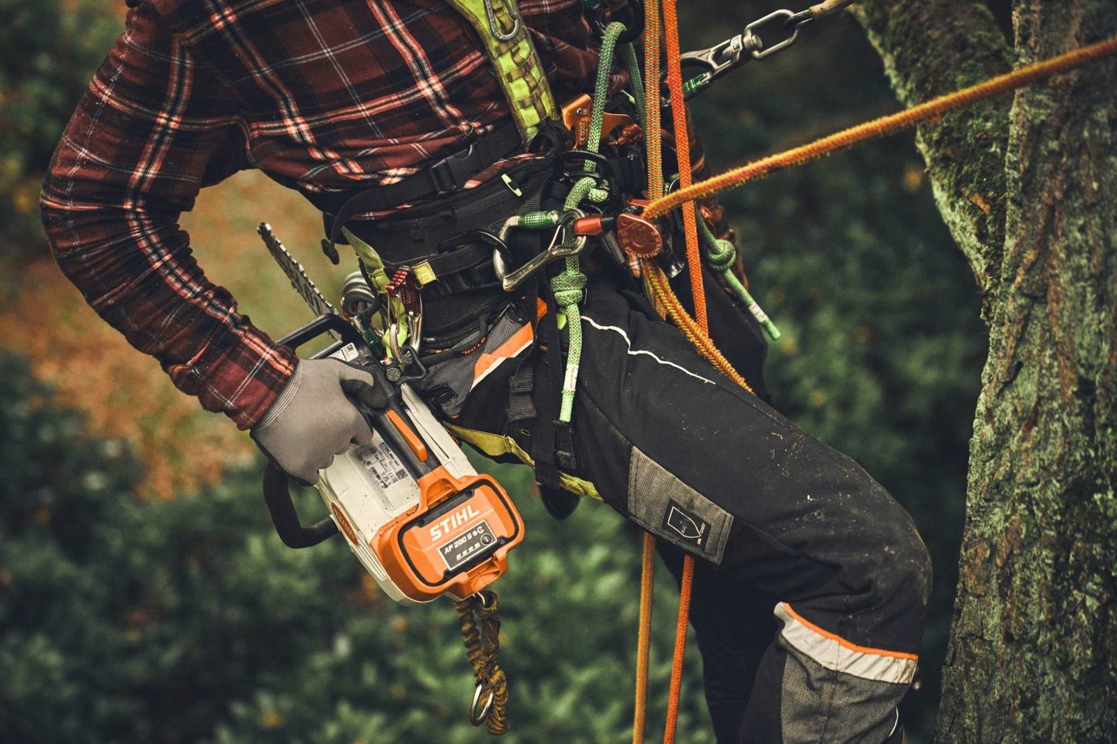 STIHL Akku-Baumpflegesäge MSA 220 T, PS3, Schienenlänge 35 cm - ohne Akku und Ladegerät – Bild 7