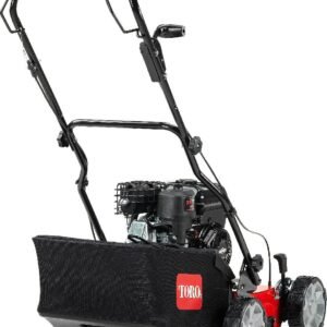 Toro Benzin-Vertikutierer 54610
